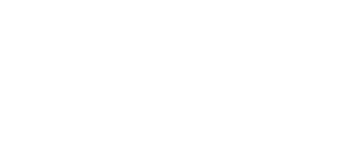 splendor-skin
